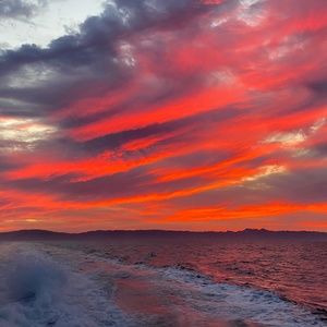 Meet your Posher, Buzz